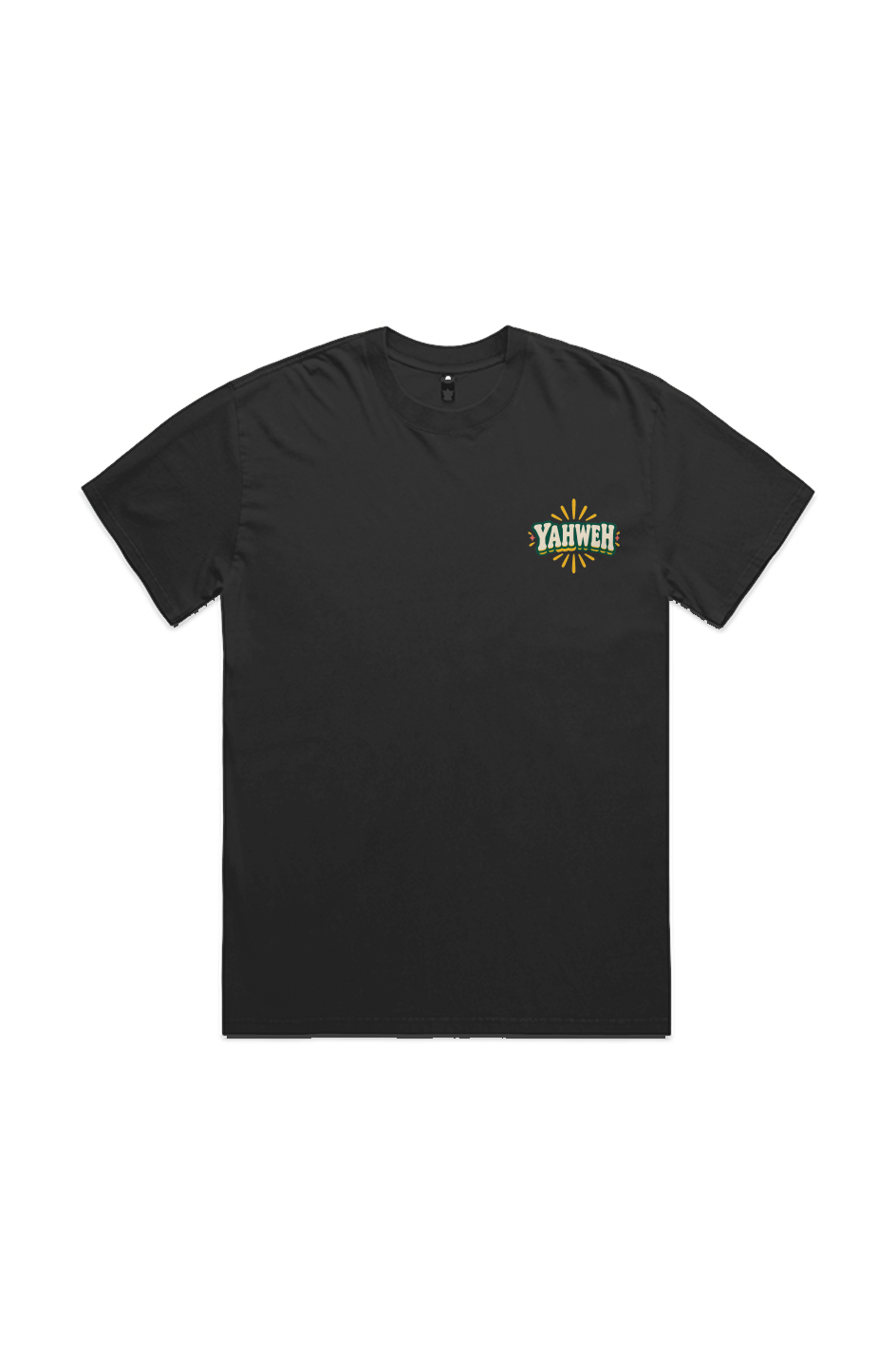 Trybe of Kings Yahweh HEAVY FADED TEE